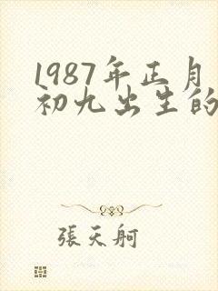 1987年正月初九出生的男孩命运
