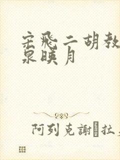 宋飞二胡教程二泉映月