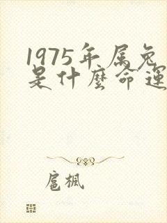 1975年属兔是什么命运
