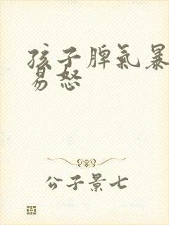 孩子脾气暴躁,易怒