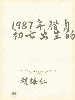 1987年腊月初七出生的命运封面