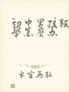 初中男孩叛逆厌学怎么办封面