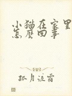 小猫在家里乱尿怎么回事