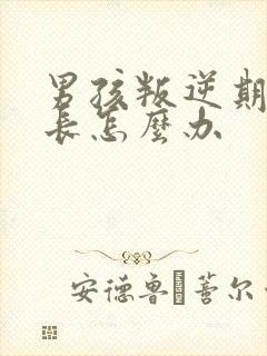 男孩叛逆期时家长怎么办封面