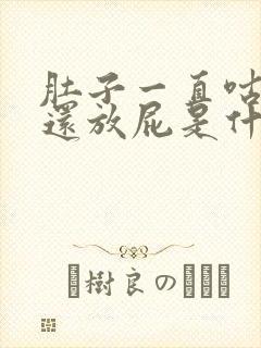 肚子一直咕咕响还放屁是什么原因封面