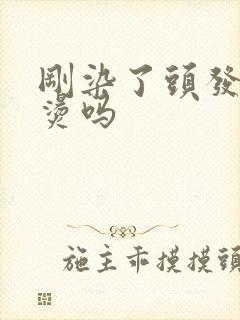 刚染了头发可以烫吗封面