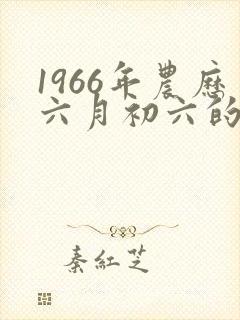 1966年农历六月初六的命运
