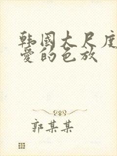 韩国大尺度电影爱的色放