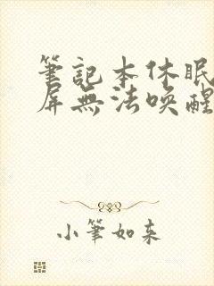 笔记本休眠后黑屏无法唤醒怎么办