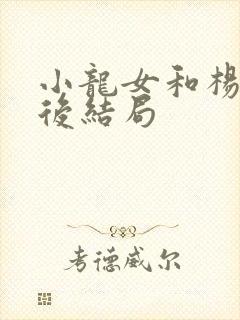 小龙女和杨过最后结局封面