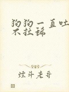 狗狗一直吐黄水不拉稀