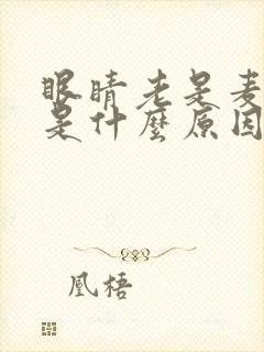 眼睛老是麦粒肿是什么原因