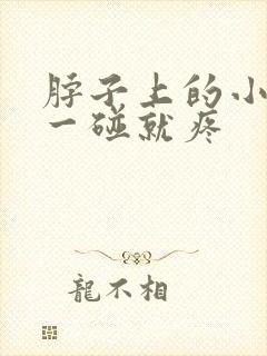 脖子上的小肉粒一碰就疼