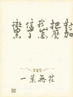 微信我把对方拉黑了怎么加回来