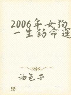 2006年女狗一生的命运封面