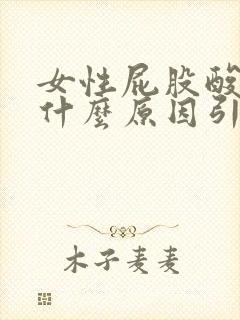 女性屁股酸疼是什么原因引起的