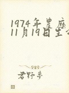 1974年农历11月19日生命运