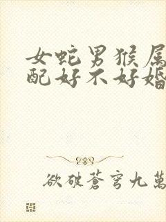 女蛇男猴属相婚配好不好婚姻封面