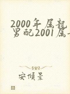 2000年属龙男配2001属女蛇婚配