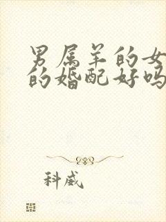 男属羊的女属兔的婚配好吗