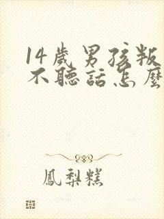 14岁男孩叛逆不听话怎么办封面