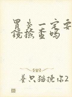 胃炎一定要做胃镜检查吗