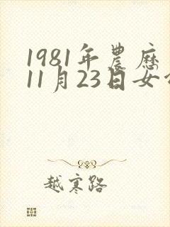 1981年农历11月23日女命
