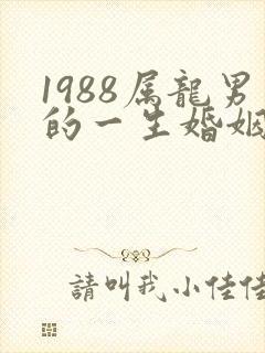 1988属龙男的一生婚姻状况封面