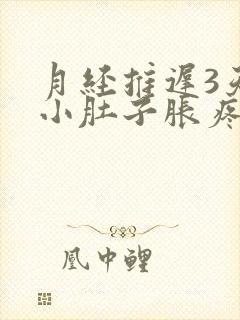 月经推迟3天了小肚子胀疼