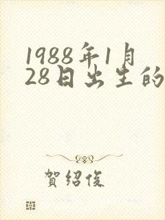 1988年1月28日出生的命运