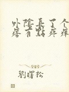 外阴长了个小疙瘩有点疼痒