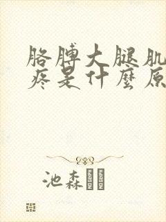 胳膊大腿肌肉酸疼是什么原因引起的封面