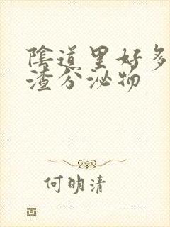 阴道里好多豆腐渣分泌物