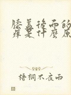 膝盖后面的窝疼痒是什么原因引起的