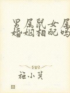 男属鼠女属羊的婚姻相配吗