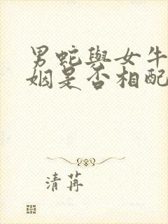 男蛇与女牛的婚姻是否相配