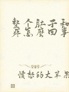 整个肚子和胃都疼怎么回事