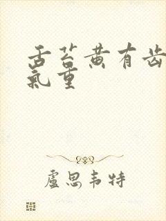 舌苔黄有齿痕湿气重