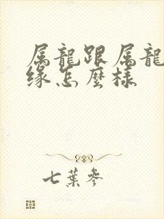 属龙跟属龙的姻缘怎么样