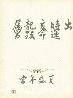 属龙亥时出生的男孩命运