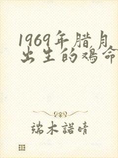 1969年腊月出生的鸡命运怎样
