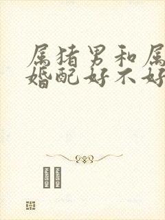 属猪男和属蛇女婚配好不好