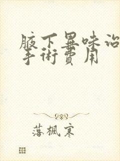 腋下异味治疗的手术费用封面