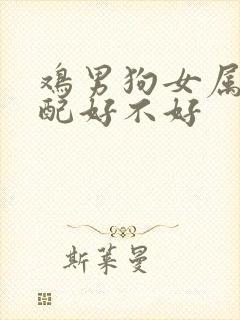 鸡男狗女属相婚配好不好