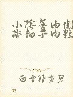 小阴唇内侧长一排柚子肉粒封面