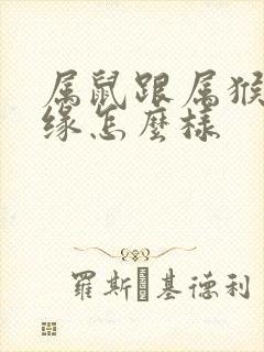 属鼠跟属猴的姻缘怎么样