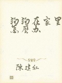 狗狗在家里乱尿怎么办封面