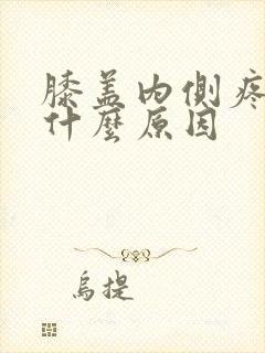 膝盖内侧疼痛是什么原因封面