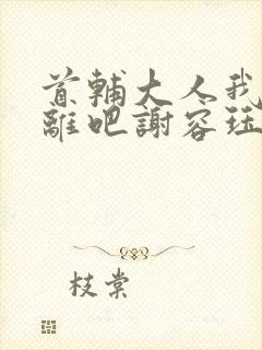 首辅大人我们和离吧谢容珏封面