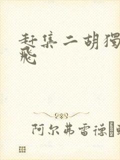 赶集二胡独奏宋飞